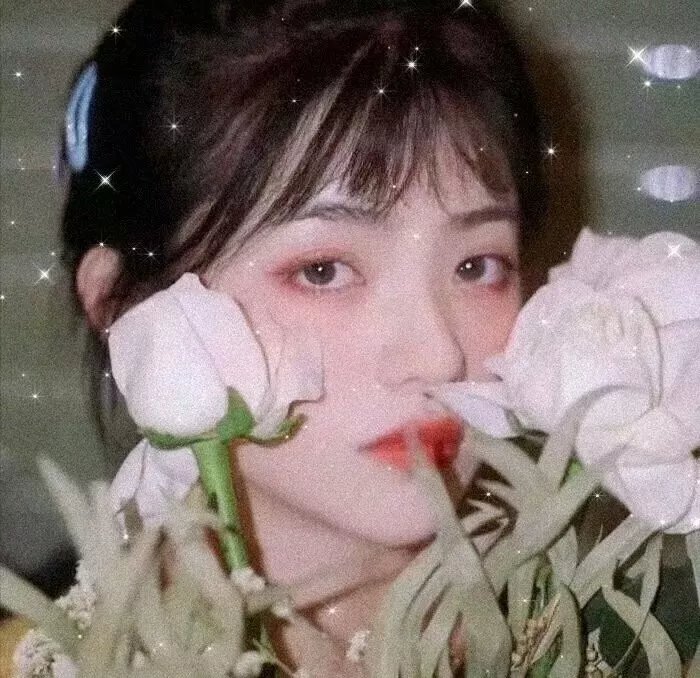 铳梦：战斗天使